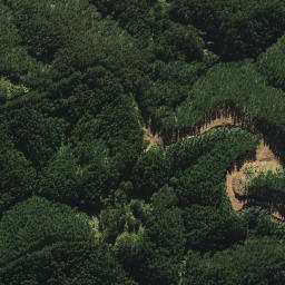 Satellite imagery of H (Opuawhanga SD), NZ
