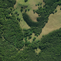 Satellite imagery of 1921, NZ