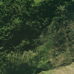 Satellite imagery of MOTATAU NO 2, NZ