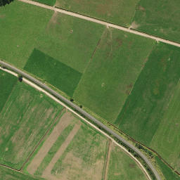Satellite imagery of 2011, NZ
