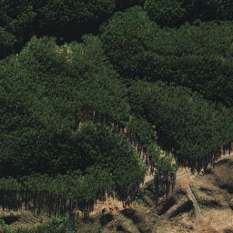 Satellite imagery of H (Opuawhanga SD), NZ