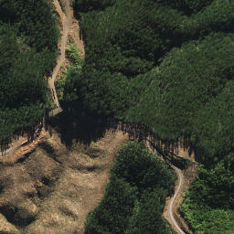 Satellite imagery of H (Opuawhanga SD), NZ