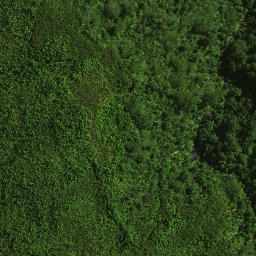 Satellite imagery of 113 PAWAKATUTU, NZ