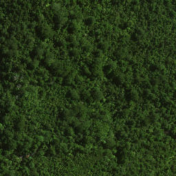 Satellite imagery of 113 PAWAKATUTU, NZ