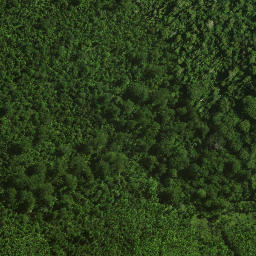 Satellite imagery of 113 PAWAKATUTU, NZ