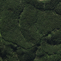 Satellite imagery of 2022, NZ