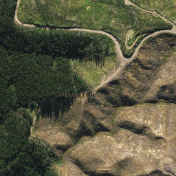 Satellite imagery of 2022, NZ