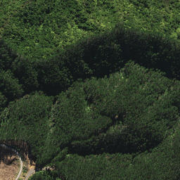 Satellite imagery of H (Opuawhanga SD), NZ