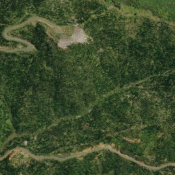 Satellite imagery of 1921, NZ