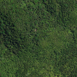 Satellite imagery of 1921, NZ