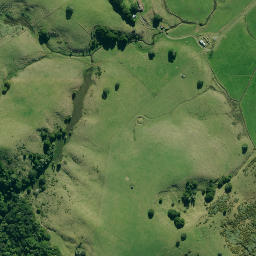 Satellite imagery of A NO 2, NZ