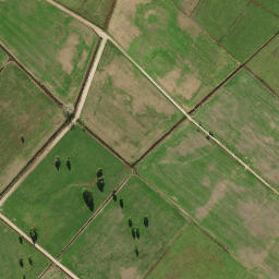 Satellite imagery of 2011, NZ
