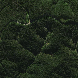 Satellite imagery of 2021, NZ
