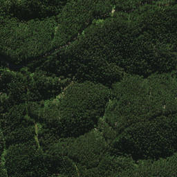 Satellite imagery of 2021, NZ