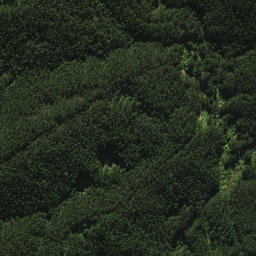 Satellite imagery of 2021, NZ