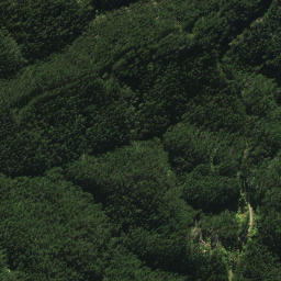 Satellite imagery of 2022, NZ