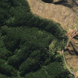 Satellite imagery of 2022, NZ