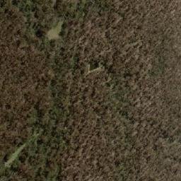 Satellite imagery of Mount Bullongong, AU
