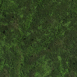Satellite imagery of 113 PAWAKATUTU, NZ