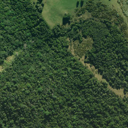 Satellite imagery of A NO 2, NZ