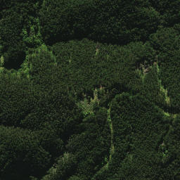 Satellite imagery of 2021, NZ