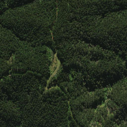 Satellite imagery of 2021, NZ