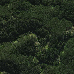 Satellite imagery of 2021, NZ