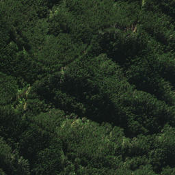 Satellite imagery of 2022, NZ
