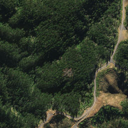 Satellite imagery of 2022, NZ