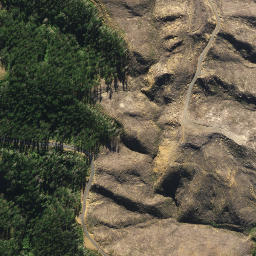 Satellite imagery of 2022, NZ
