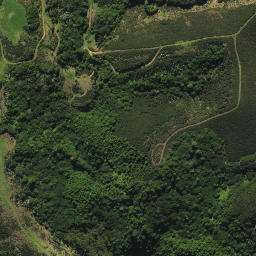 Satellite imagery of D2 NO 2, NZ