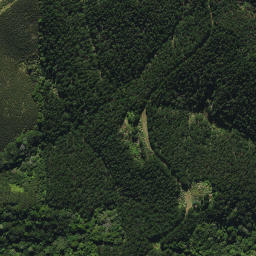 Satellite imagery of D2 NO 2, NZ