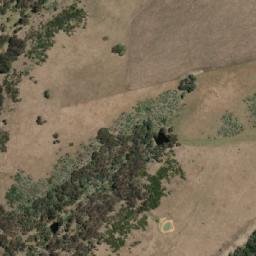 Satellite imagery of Tree Hill, AU