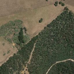 Satellite imagery of Tree Hill, AU