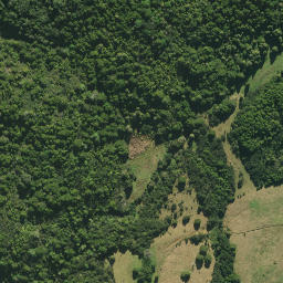 Satellite imagery of A NO 2, NZ