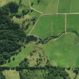 Satellite imagery of 1870, NZ