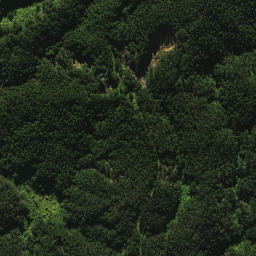 Satellite imagery of 2021, NZ
