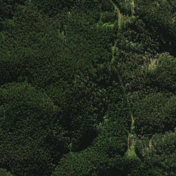 Satellite imagery of 2021, NZ