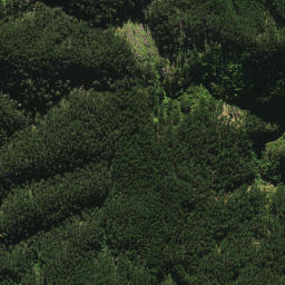 Satellite imagery of 2021, NZ