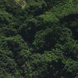 Satellite imagery of D2 NO 2, NZ