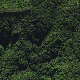 Satellite imagery of D2 NO 2, NZ