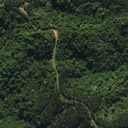 Satellite imagery of D2 NO 2, NZ
