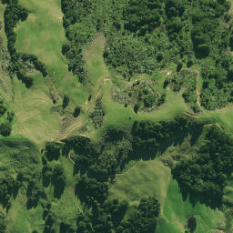 Satellite imagery of 1870, NZ