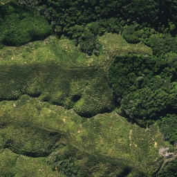 Satellite imagery of 2053, NZ