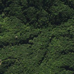 Satellite imagery of 2053, NZ