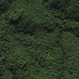 Satellite imagery of 2053, NZ