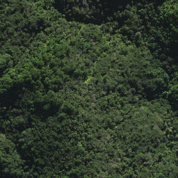 Satellite imagery of D2 NO 2, NZ