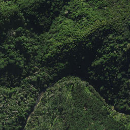 Satellite imagery of D2 NO 2, NZ