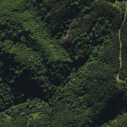 Satellite imagery of D2 NO 2, NZ