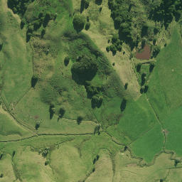 Satellite imagery of 1870, NZ